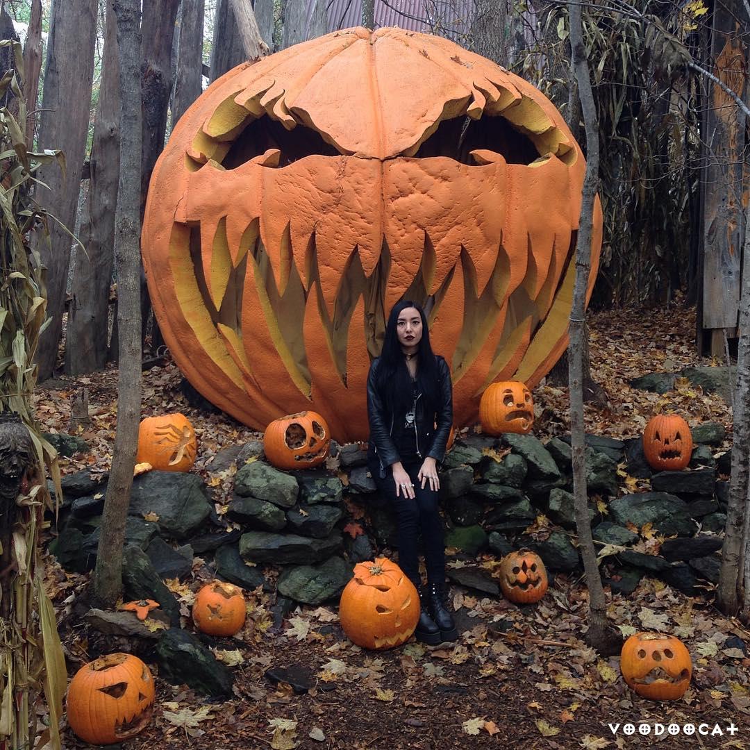 Хеллоуинское настроение от @lifeisapigsty